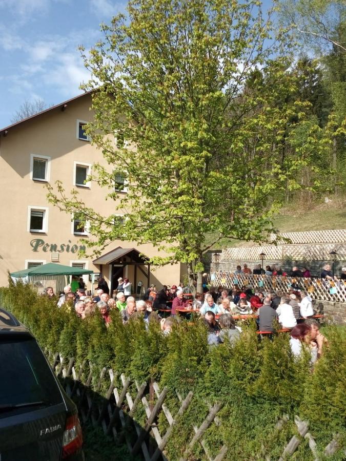 Pension Sommerfrische Ehrenfriedersdorf Zewnętrze zdjęcie